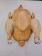 ������. ����