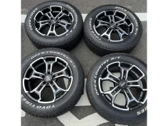 RAYS Team Daytona DS5