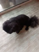 �������. ����