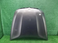 ����� BMW X5 E70 (2010-2013) 0000008340306 41617273439 ����