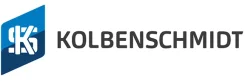 �������, �������� Kolbenschmidt, ���. 41198600 41198600 ����