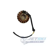 ��������� �/� BRP Sea-Doo 420889721 ����