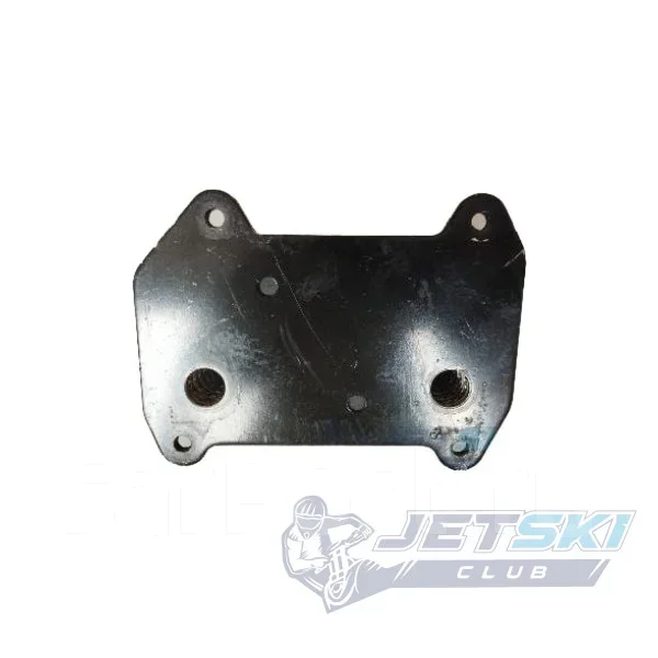 ��������� ����������� �/� BRP Sea-Doo 420888850 ����