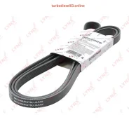 ������ ������������ Lynxauto 6PK2625 6PK2625 ����