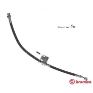 ����� ��������� Hyundai GETZ (TB) 1.6 2005-2009 Brembo T 30 066 T30066 ����