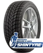 Delinte Winter WD6