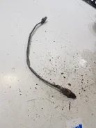 ������ ����������� (������-����) [04C906262] 183324 04C906262 ����