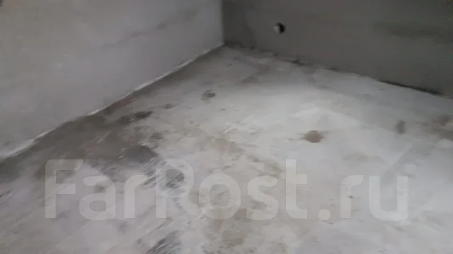 ������ ���������. ����