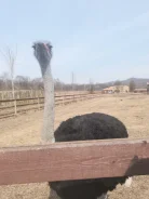 �������� �� ���������. �� ������� ����