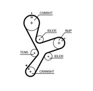 ������ ��� Gates 5641XS 5641XS ����