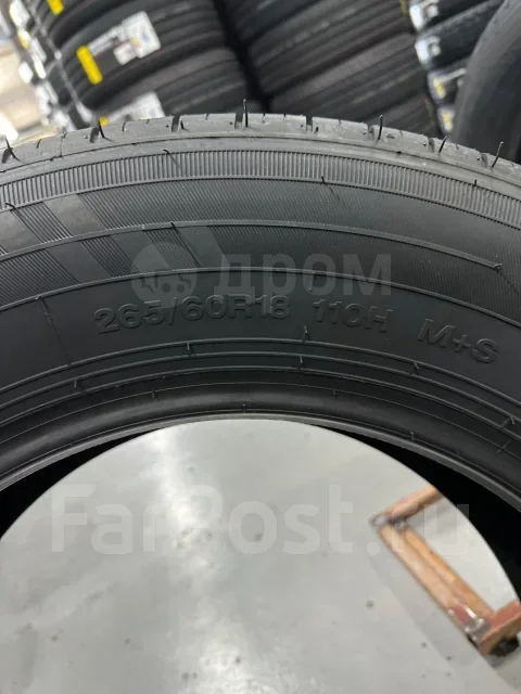 Hilo Sport XV1. ������, 2026 ���, ����� ����