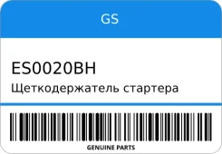 �������������� �������� GS ES0020BH ES0020BH ����