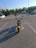 Citycoco. ��������, ��� ���, ������ �� �� ����