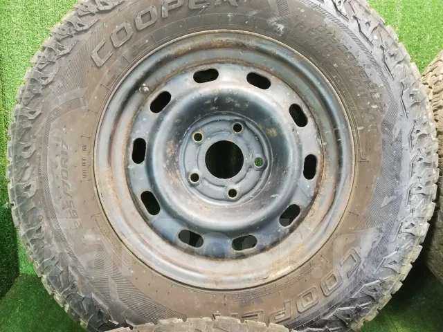 Dodge