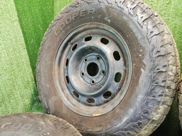 Dodge