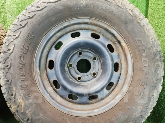 Dodge