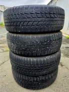 Triangle Snowlink PL01. ������, ��� �����, 2024 ���, �/�, ����� 10 % ����