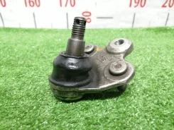 ������� ����� Honda Civic 2005-2010 51220SNAA02 FD1 R18A, �������� ������ 51220SNAA02 ����