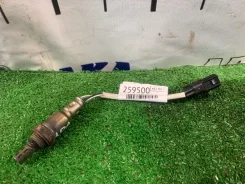 ������-���� Honda Civic 2005-2010 36532RMXA01 FD3 LDA, ������ 36532RMXA01 ����