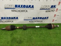 ������ FIAT Punto 2005-2015 55700559 199 350 A1.000, �������� ������ 55700559 ����