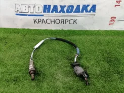 ������-���� Honda FIT 2001-2008 36532PWAJ02 GD1 L13A, ������ 36532PWAJ02 ����