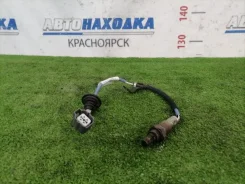 ������-���� Honda Airwave 2005-2010 36532PWAJ02 GJ1 L15A, ������ 36532PWAJ02 ����