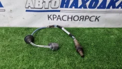 ������-���� Honda FIT 2001-2007 36532PWAJ02 GD1 L13A, ������ 36532PWAJ02 ����