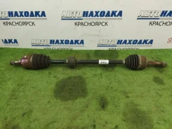 ������ Nissan Wingroad 1999-2005 391004M776 WFY11 QG15DE, �������� ������ 391004M776 ����