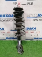 ������ Toyota Platz 1999-2005 4851059257 SCP11 1SZ-FE, �������� 4851059257 ����