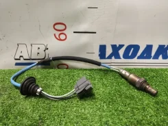������-���� Honda FIT 2001-2008 36532PWAJ02 GD1 L13A, ������ 36532PWAJ02 ����