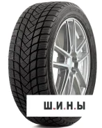 Delinte Winter WD6