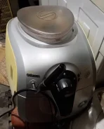 ����������. ����