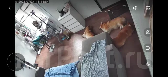 ���������� ��������. ����