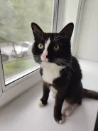 �����. ����