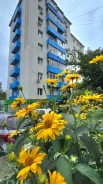 ��������, �������� 100-����� ������������ 24. ��������, ���������, 13,8���.��., 2/9 ����. ��� ������� ����