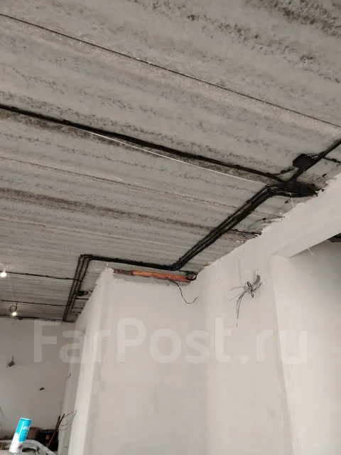 ���������. ����