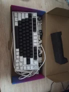 ����������. ����