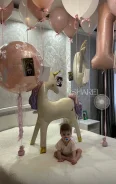 ���� ���������. ����