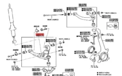 ����� �������� ����� ���� NGN [211833] 211833 ����