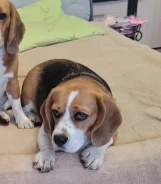 ������. ����