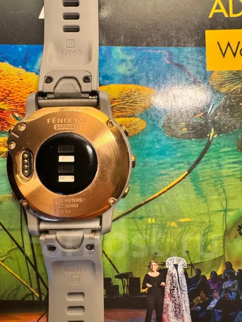 Garmin Fenix 6S. GPS, IP67, IP68 ����