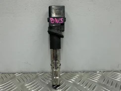 ������� ��������� Volkswagen Passat 022905715B B6 3.6 BWS 022905715B ����
