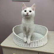 ���������� �������. ����