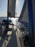 ������ �������� ����. 10 �������, 14���/� ����