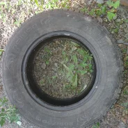 Nokian Hakka Green. ������, 2014 ���, �/�, ����� 20 % ����
