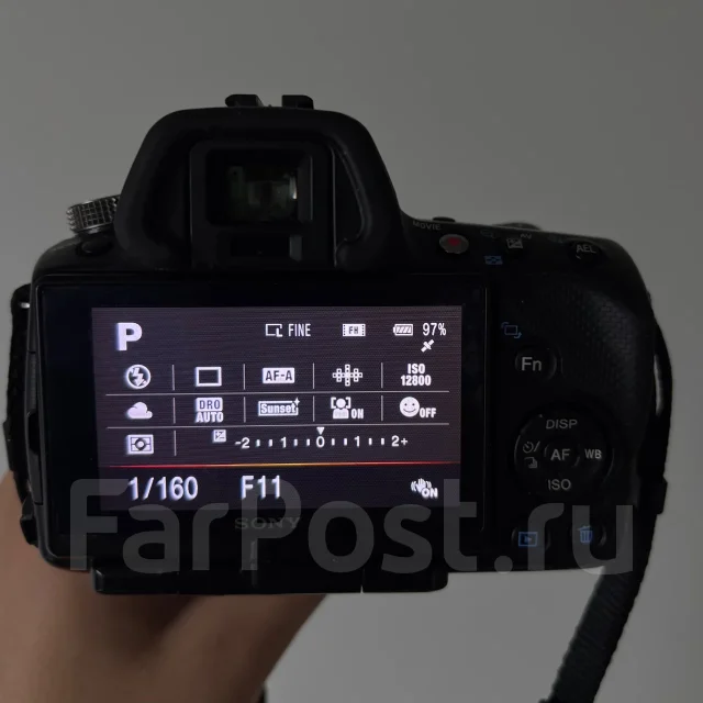 Sony Alpha SLT-A55V. 15 - 19.9 ��, ���: 14� � ����� ����