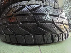 Tigar. ������, ��� �����, 2021 ���, �/�, ����� 5 % ����