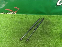 ������������ ��������� Bmw 3 2004 51248227895 E46 Convertible M54B30 306S3 51248227895 ����