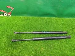 ������������ ��������� BMW 3 2004 51248254281 E46 Individual M54B22 226S1 51248254281 ����
