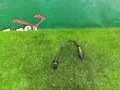 ������-���� Mercedes-Benz CL 2000 A0015406017 W215 M113.960 A0015406017 ����